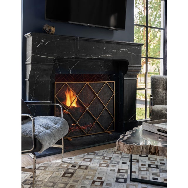 Tobacco Celeste Fireplace Screen Iron For Sale In Dallas - Image 6 of 11