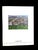 Fernand Léger Christie's London Impressionist & Modern Art, Evening Sale Catalog June 23 2004 For Sale - Image 4 of 13