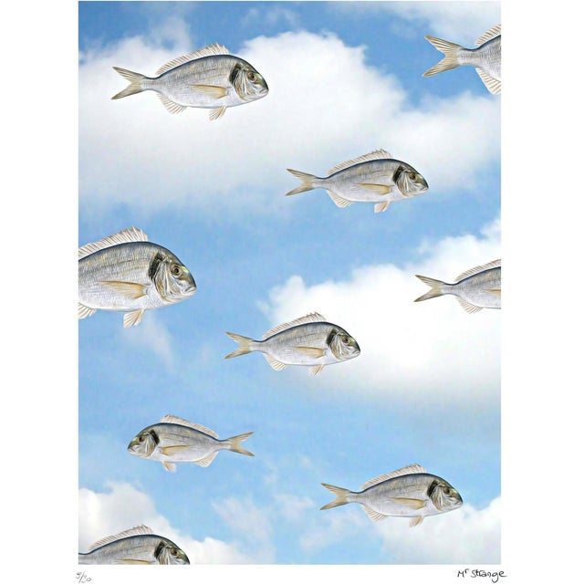 Mr Strange, Against the Current, 2019, Screen Print For Sale