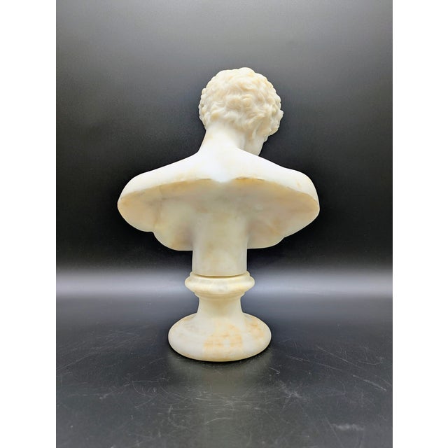Late 19th Century 19th Century Grand Tour Alabaster Bust: Capitoline Antinous For Sale - Image 5 of 13