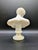 Late 19th Century 19th Century Grand Tour Alabaster Bust: Capitoline Antinous For Sale - Image 5 of 13