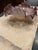 Victorian-Era Hand-Blown Art Glass Bride's Bowl For Sale - Image 4 of 9