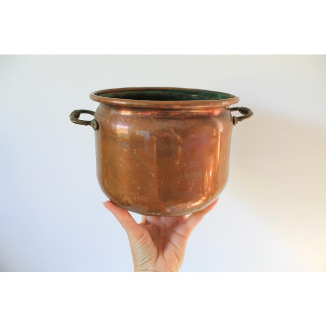 Vintage copper pot planter with brass handles. Made in Holland. Heavy patina on the inside.