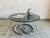 Coffee Table by Giotto Stoppino, 1960s For Sale - Image 13 of 13