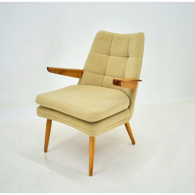 Vintage Armchair, Czechoslovakia, 1950s For Sale - Image 3 of 18