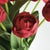 Realism Peony Tulip Bundle Drop-In 18" For Sale - Image 3 of 4