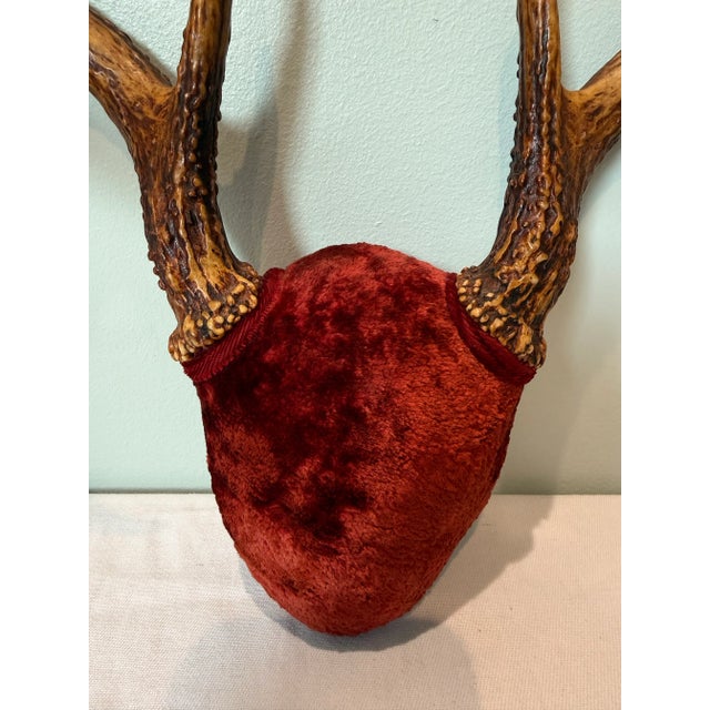 Rustic European Vintage European Red Velvet Antler Trophy Mount – Mid-Century Lodge Decor For Sale - Image 3 of 6