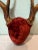 Rustic European Vintage European Red Velvet Antler Trophy Mount – Mid-Century Lodge Decor For Sale - Image 3 of 6