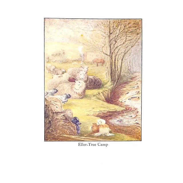 Paper "The Fairy Caravan" 1951 Potter, Beatrix For Sale - Image 7 of 12