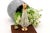 Perfume Bottle in Cut Glass with Gold Applications For Sale - Image 6 of 7
