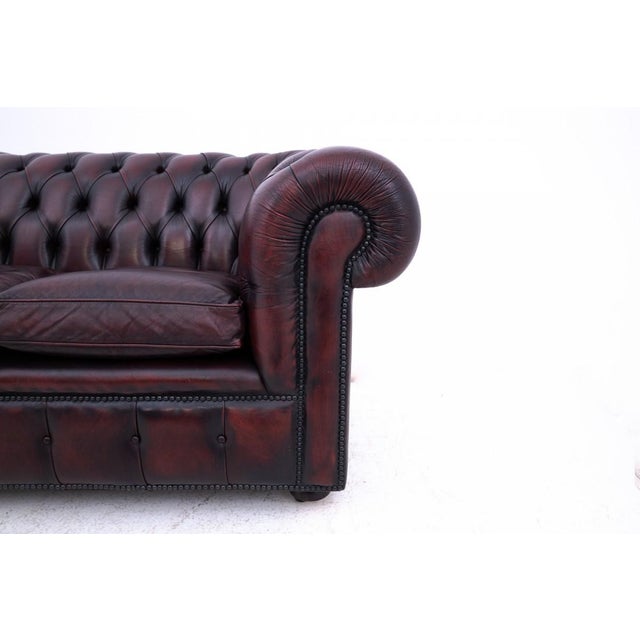 Wood Mid-Century Chesterfield Sofa, Western Europe, 1950s For Sale - Image 7 of 12
