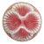 Sarreguemines French Majolica Pink Shell Motif Plate, C. 1920's For Sale