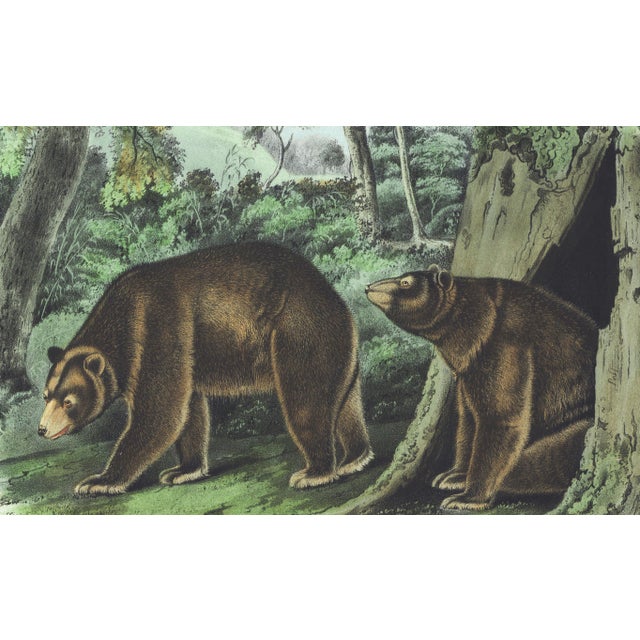 Original first edition Audubon stone lithograph from "The Viviparous Quadrupeds of North America", octavo edition, printed...