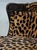 Pair of Cheetah Print Louis XVI Style Bergere Chairs For Sale - Image 9 of 18