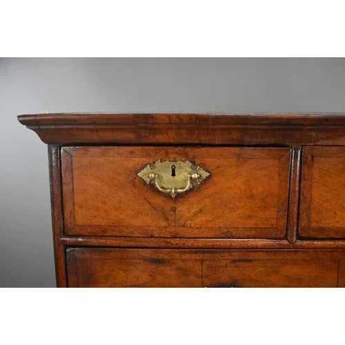Brown George II Burr Walnut Chest on Stand, 1740 For Sale - Image 8 of 11
