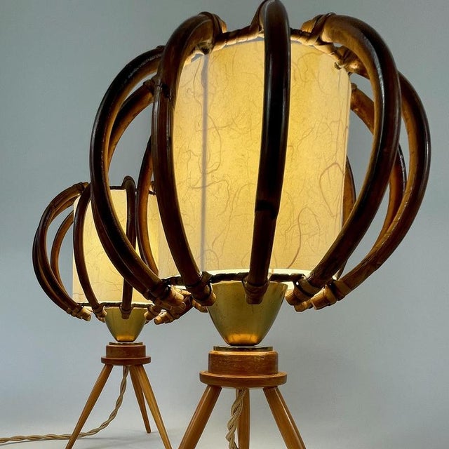 Bamboo, Birch & Parchment Tripod Table Lamps, France, 1950s, Set of 2 For Sale - Image 13 of 18