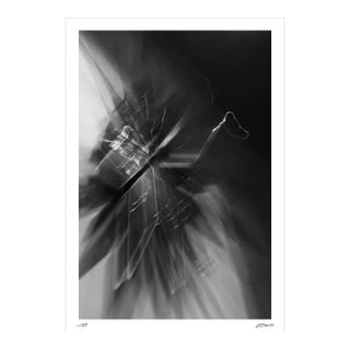 Chris Delmar Limited Edition Photograph No. 7127 — 16 × 24 In. For Sale