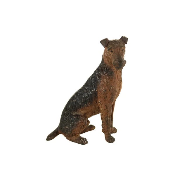 English Terrier accent piece. This is a cold-painted Austrian bronze figurine. Circa 1900s. Size: 3" x 5"