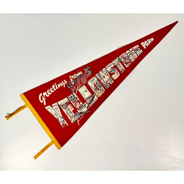 American 1950s Vintage Americana Boho Chic Rustic Yellowstone Felt Pennant. For Sale - Image 3 of 12