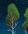 Emissary by Thane Gorek | Oil on canvas Night scene with trees under a starry sky. For Sale - Image 4 of 5