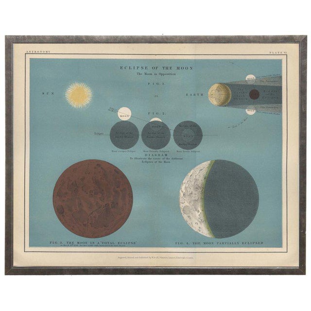 Ocean Blue Astronomy Plate VI in Shadowbox 19 1/2x 15 1/2"