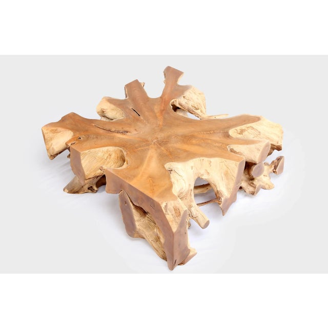 Contemporary Square 36" Inch Organic Teak Root Coffee Table 54 For Sale - Image 3 of 6