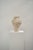 L´Étoile De Mer Beige Sandstone Vase by Lou Thomas Dimensions: ⌀ 24 x H 26 cm Materials: Beige sandstone "Drawing on her...