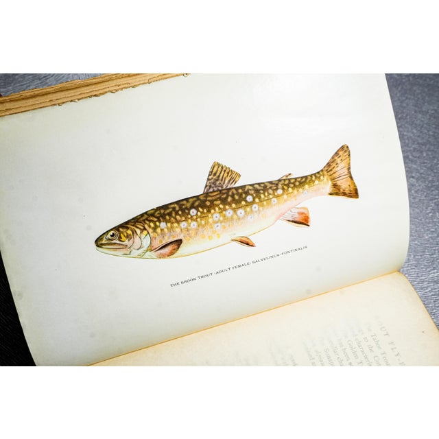 1910s Rare Author Signed Trout Fly Fishing in America Antique Leather Spine Book 1914 For Sale - Image 5 of 12