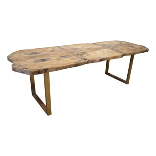 Andrianna Shamaris Petrified Wood Table For Sale