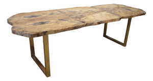 Andrianna Shamaris Petrified Wood Table