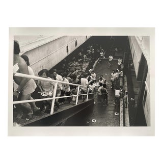 Jose Nicolas, Le Rose Schaffino, 1987, Silver Print For Sale