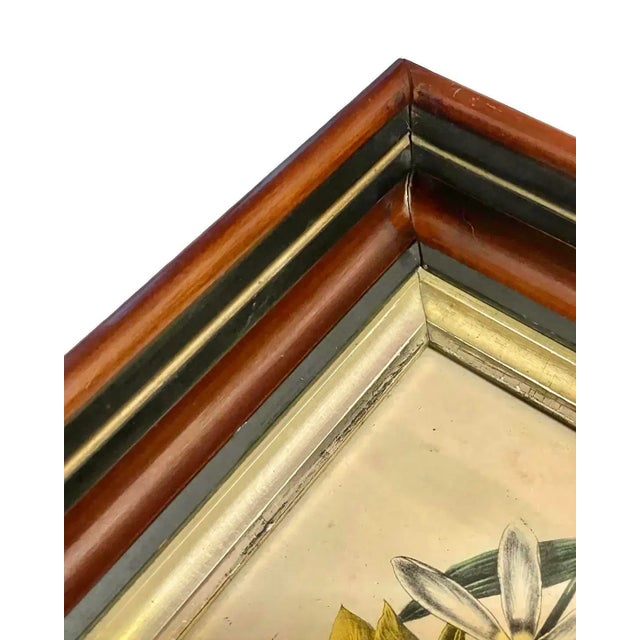 1840s Hand-Colored Botanical Lithographs by Jane Loudon in Fine 19th Century Shadow Box Frames - a Pair For Sale In Atlanta - Image 6 of 7
