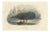 After Édouard Traviès, The Right Whale, 1840, Hand-Colored Engraving For Sale