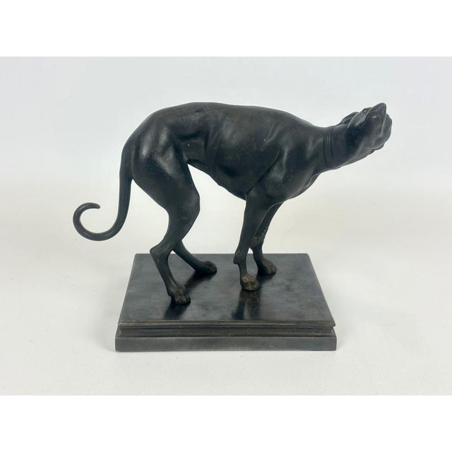 French Cast Iron Greyhound Figurine, 1900s For Sale - Image 11 of 17