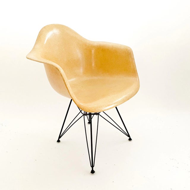 Eames Dar Fiberglass Armchair With Eiffel Base for Herman Miller C. 1954 For Sale In New York - Image 6 of 12