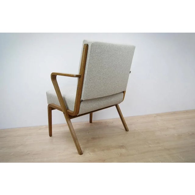 Armchair by Selman Selmanagic for Veb Deutsche Werkstätten Hellerau, 1950s For Sale - Image 4 of 7