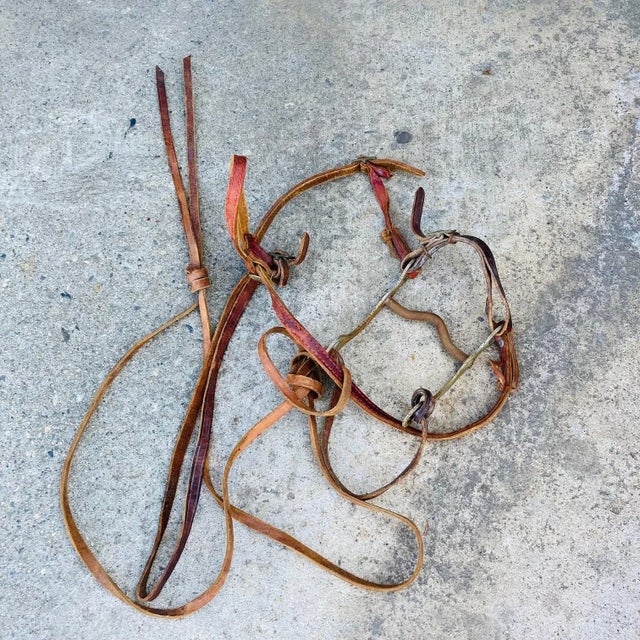 Vintage Mid 20th Century Decorative Leather Horse Saddle With Stand For Sale - Image 12 of 13