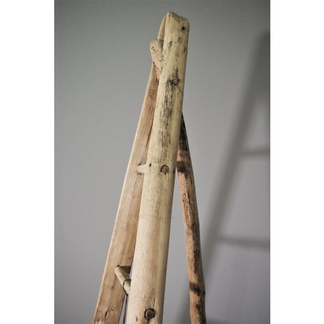 Fir & Beech Wood Ladder For Sale - Image 5 of 14