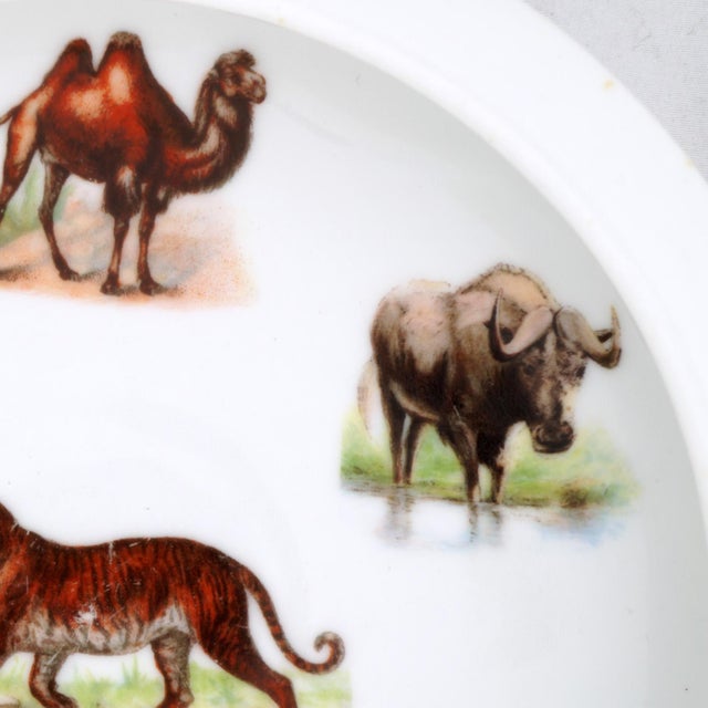 Ceramic Antique German Illustrated Child's Dish Animal Full Color Early 1900s For Sale - Image 7 of 10