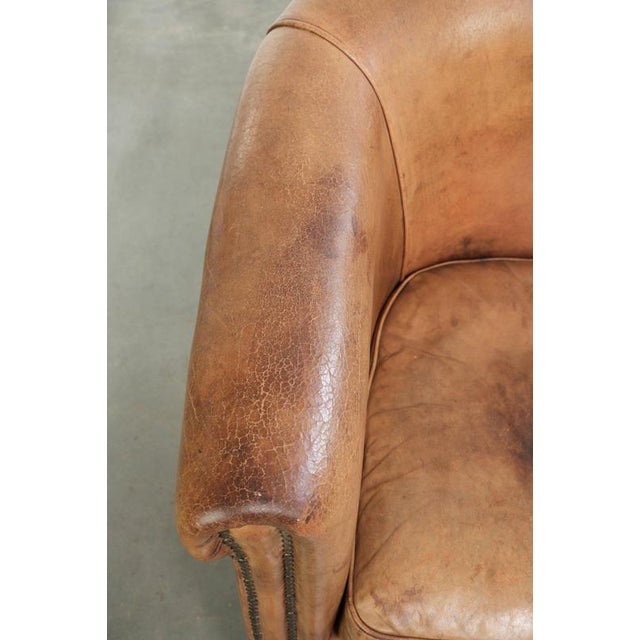 Textile Sheepskin Club Armchair in Light Cognac with Decorative Nails For Sale - Image 7 of 13