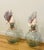 Coastal Fabulous Pair of Sea Shells Glass Demijohn Bottles For Sale - Image 3 of 9