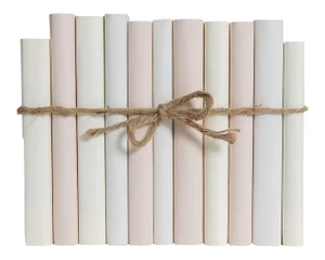 Decorative Books - Beach Paper Wrapped Book Bundle - 1 Foot of Beige Books