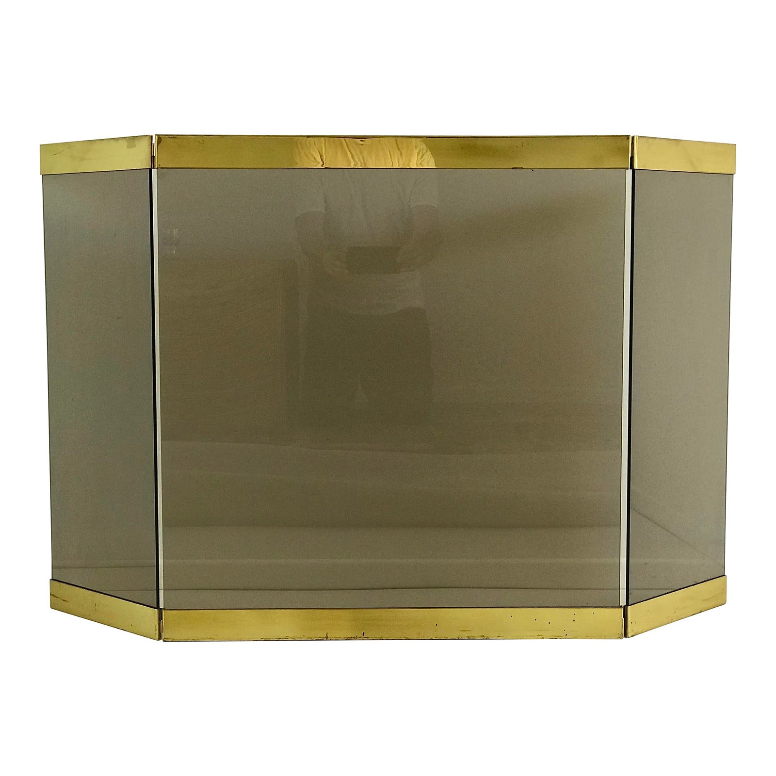 1970s Smoked Glass and Brass Fireplace Screen Chairish