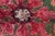 Antique French Savonnerie Wool Rug Fragment Doris Leslie Blau For Sale In New York - Image 6 of 9