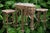 A spectacular whimsical Hollywood Regency style rolling bar cart carved and shaped like an elephant, complete with...