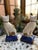 Staffordshire Early 20th Century Staffordshire Cat Figurines - a Pair For Sale - Image 4 of 9