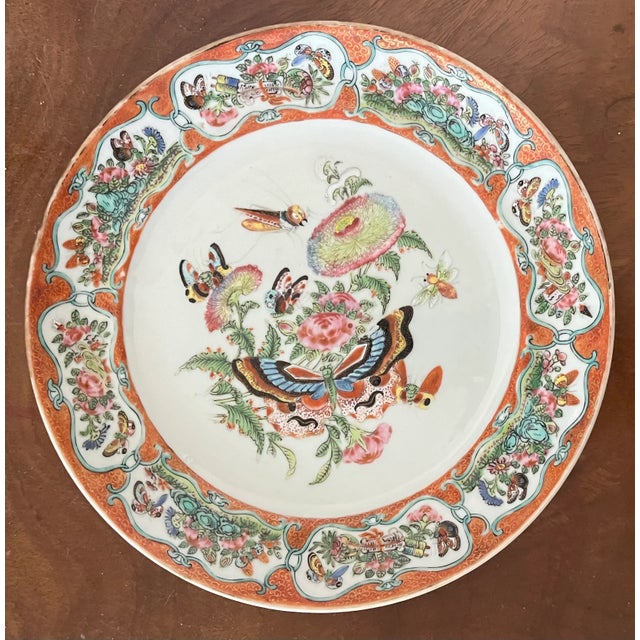 Chinoiserie Antique Early 19th Century Chinese Export Porcelain Plate With Rose Medallion Decoration of Butterflies and Insects For Sale - Image 3 of 10