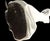 Pair of Draped Plaster Lamps, Style of John Dickinson For Sale - Image 9 of 11