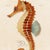 Contemporary Contemporary Reproduction of Vintage "Red Seahorse" Giclee Print, Framed For Sale - Image 3 of 4