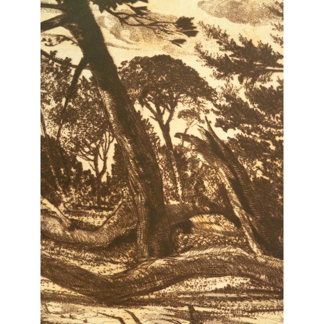 Gerard Diaz, The Wind, Engraving For Sale - Image 4 of 8